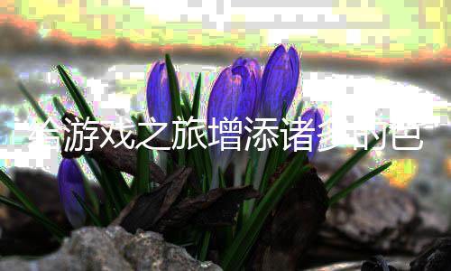 多的给游戏之旅增添诸色彩
