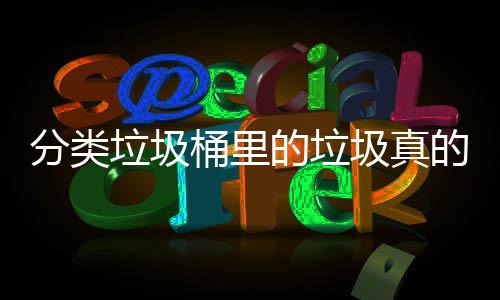 吗的垃的会垃圾桶里圾真处置分类分类