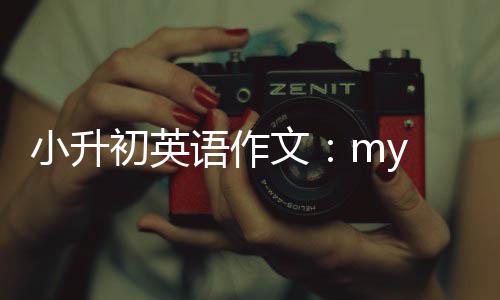 文语作小升初英